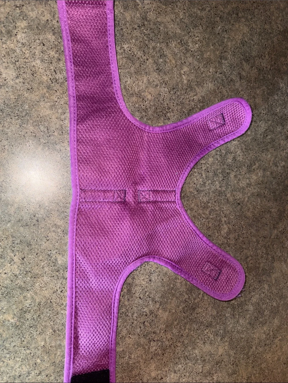 Purple & Teal Leopard Print Pet Harness